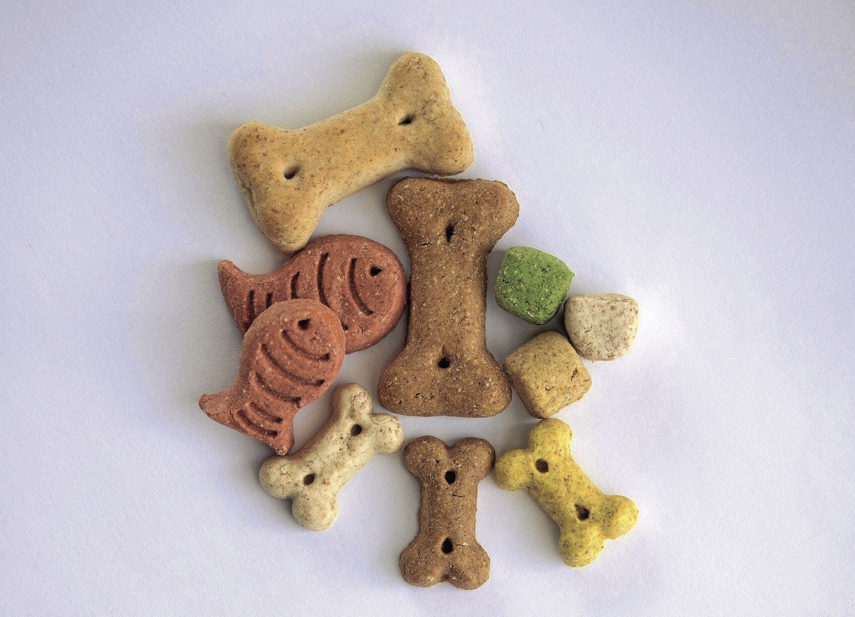 treats-3164687_1920_CMYK.jpg